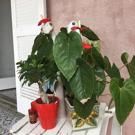 Alojamento de Acomodação e Pequeno-almoço Le Tre Casette 4*