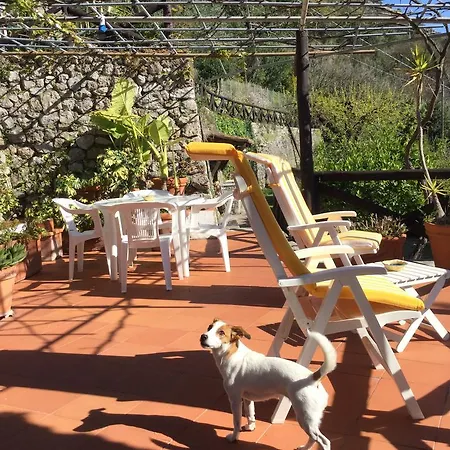 Alojamento de Acomodação e Pequeno-almoço Le Tre Casette Maratea